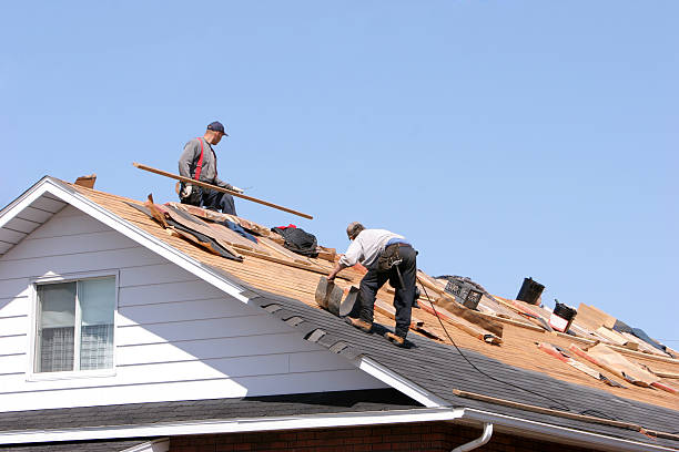 Best Sheet Metal Roofing  in Castle Rock, WA